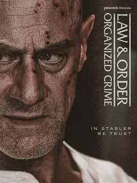 《法律与秩序：组织犯罪 第五季》：警匪博弈再升级，斯托勒的罪恶帝国能否逃脱法律的制裁？