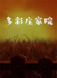 《多彩庄家院》：藏在古朴庄院里的温情脉脉，看完直呼血赚！