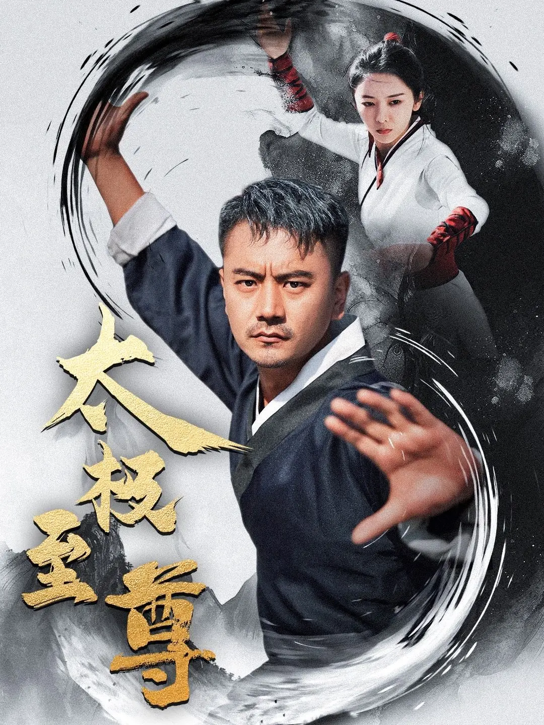 《太极至尊》：这才是真正的国术巅峰，看完我跪了！
